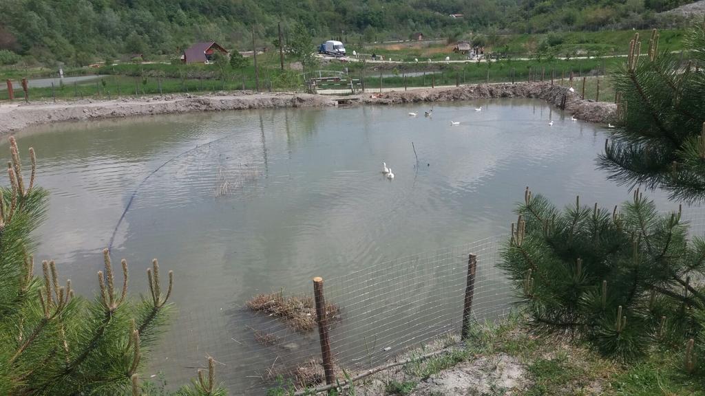 Pensiunea Dely_Cios Vălenii de Munte Exterior foto