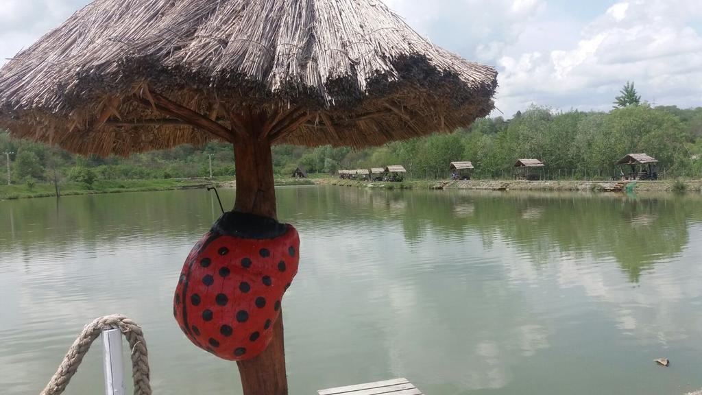 Pensiunea Dely_Cios Vălenii de Munte Exterior foto